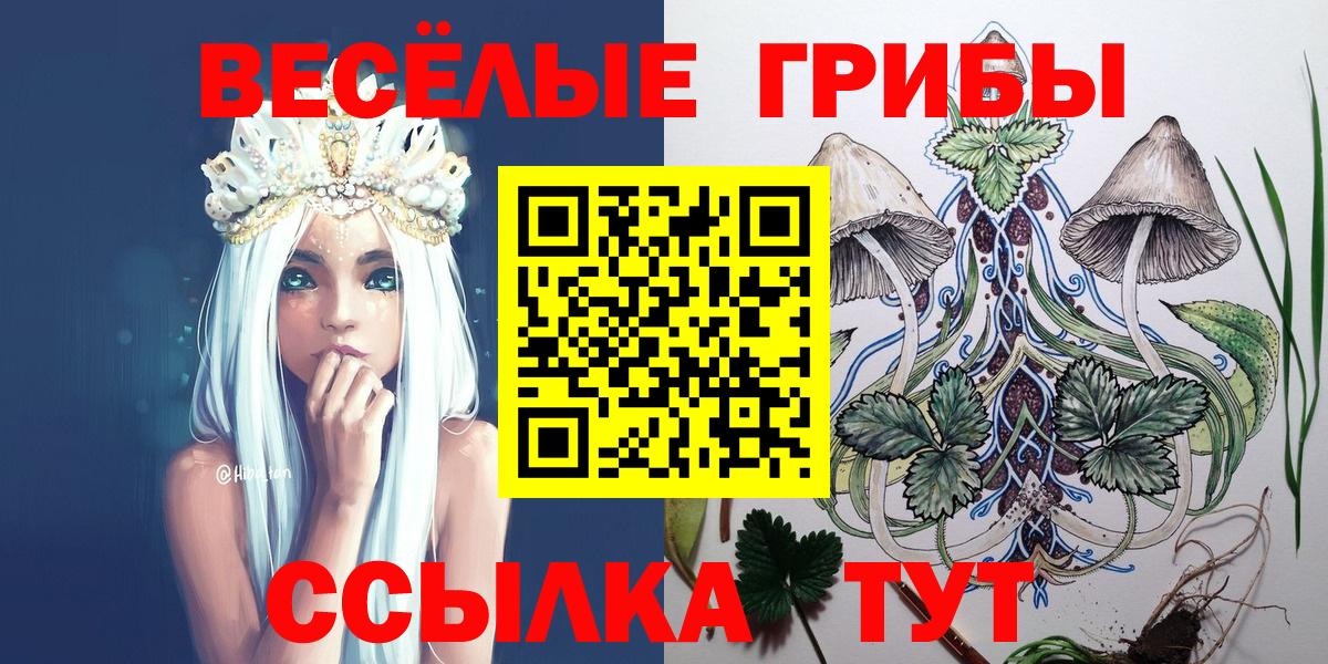 Псилоцибиновые грибы мухоморы Холмск