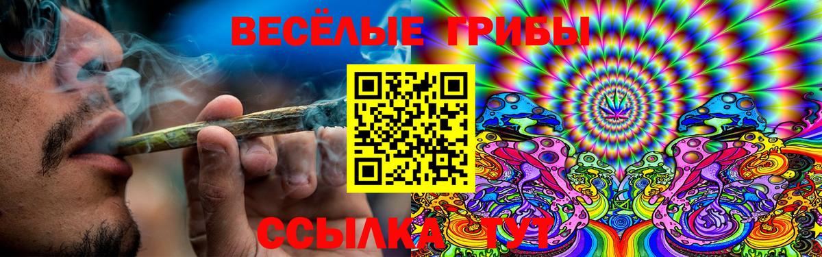 Холмск  Галлюциногенные грибы ЛСД  Вход с VPN 